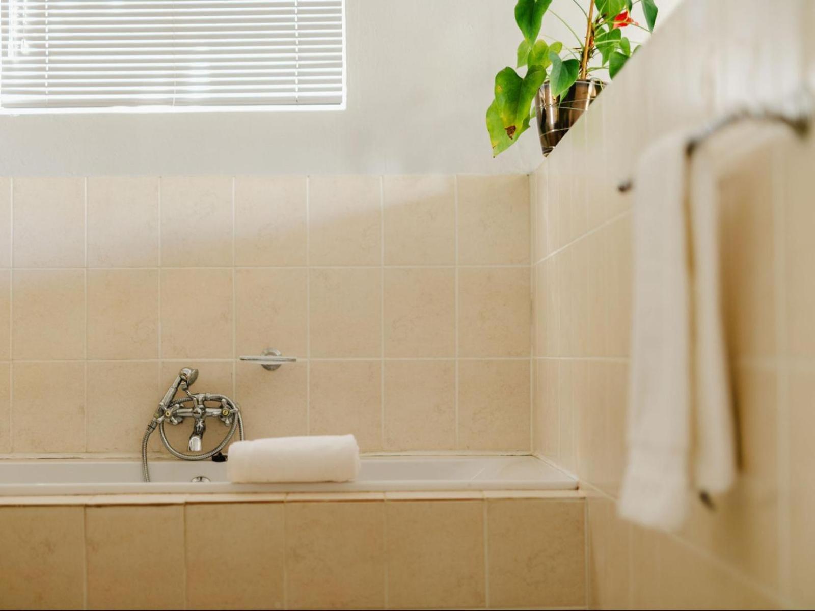 Hopefield Guesthouse-Addo Pokój zdjęcie
